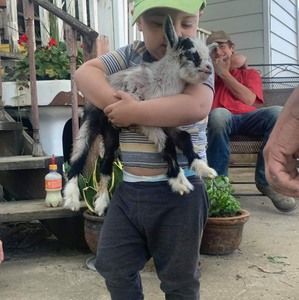 Meet your Posher, Donna